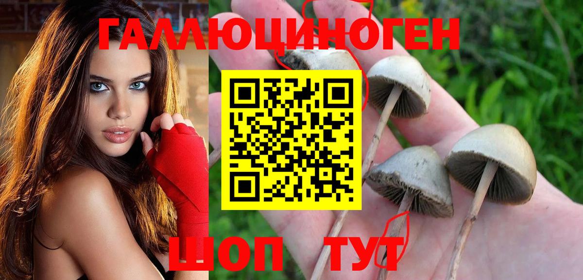 Псилоцибиновые грибы Magic Shrooms Нижнеудинск