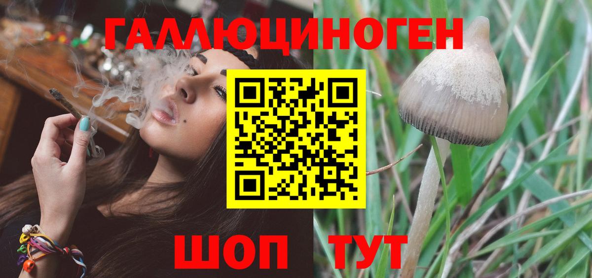 Нижнеудинск  Псилоцибиновые грибы Psilocybine cubensis  Галлюциногенные грибы мухоморы  где купить наркоту  Вход с VPN 